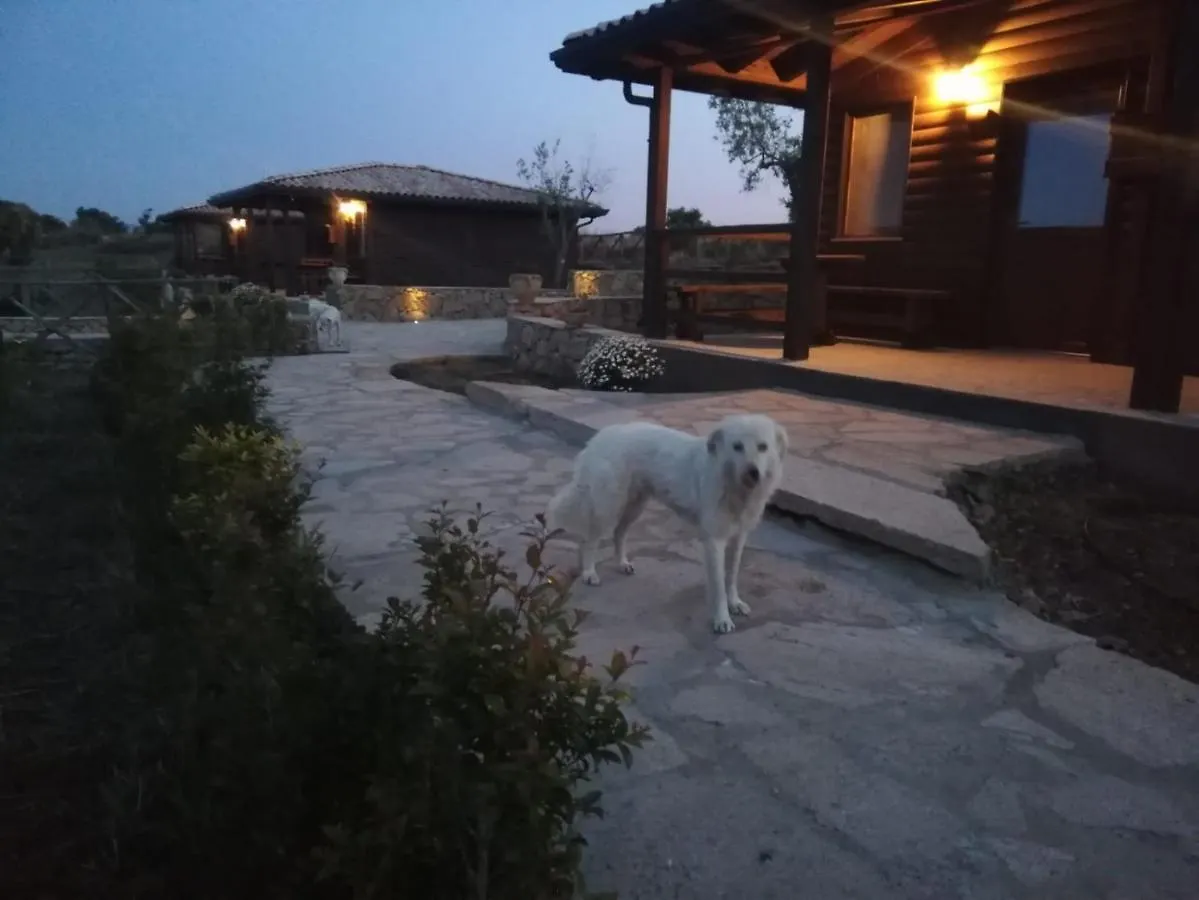 Villaggio San Demetrio Carlentini Farm stay